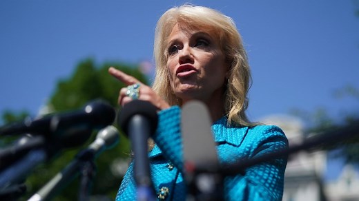 WATCH: Kellyanne Conway asks reporter: 'What's your ethnicity?'