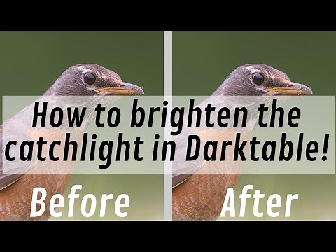 How to brighten the catchlight in Darktable: Quick tutorial