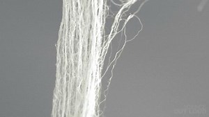 Growing carbon nanotubes - ABC Education