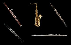 Instrumentos de Viento Madera ⇒ Clasificación, Nombres, Tipos.【2019】