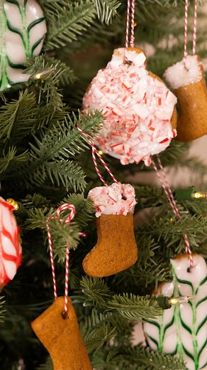 26M views · 21K reactions | #ad These delightful Gingerbread Ornaments are the perfect way to introduce some Zen into the holidays. Delicious, easy to make, and full of your favorite spices, they have a special secret ingredient and that’s Canada Dry Ginger Ale! It gives a lovely kick of ginger flavor to both the cookies and the glaze! Decorate as you please, hang, and get to nibbling! #CanadaDry @canadadrygingerale | Preppy Kitchen | Facebook
