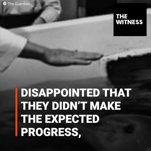 In the middle of the 60's, Nasa developed an experiment: to make a woman and a dolphin fall in love, and everything ended in a strange tragedy. | The Witness