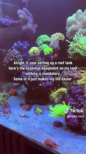 Essential Equipment for Your Reef Tank Setup