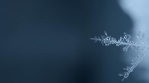 Polar Bear Power: Ruler of the Arctic Wilderness | Exploring Wild Nature