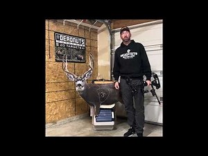 2D Tuesday Deadnuts Archery shooting