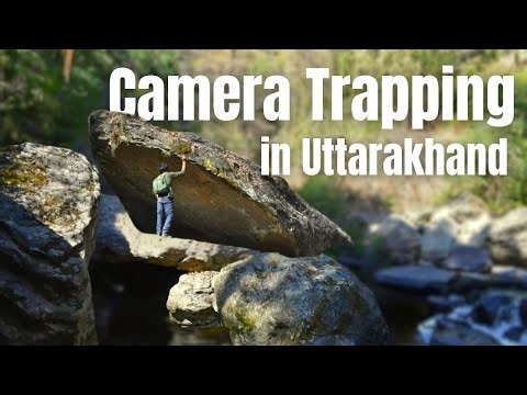 Segments of Research: Basics about Camera Trapping