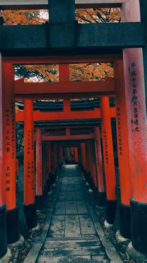 Exploring Kyoto’s scenic streets at a relaxed pace