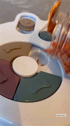 Soberratlover & rats on Instagram: "I love being able to choose not only TASTY but also HEALTHY treats for my rats! ❤️ @pippa_littleone offers: 🐛 An insect mix rich in animal protein and essential microelements 🥕Dried carrots full of beneficial nutrients, vitamins and minerals 🫛 Pea flakes that are high in plant-based protein #rat #rats #pet #pets #animal #animals #reels #reelsinstagram #reelsofinstagram #ratsareawesome #funnyvideos #funnyanimals #ratsarecute #ratsarelove #cutereels #ratconte