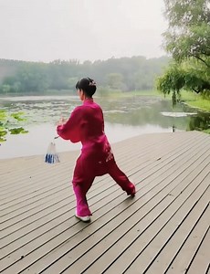 4.1K views · 202 reactions | 42 forms Taijijian | World of Wushu | Facebook