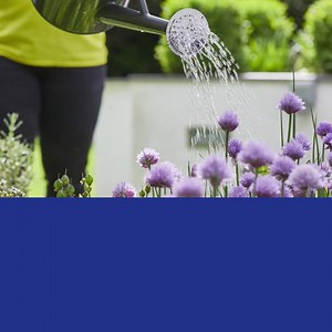 32 comments | Garden not looking its best? Don’t worry! Using a watering can instead of a hose can help save water while still keeping your plants happy. Try watering your garden early in the morning or in the evening when it's cooler outside. This way, you'll lose less water to evaporation, and your plants will soak up more of that much-needed moisture. | Yorkshire Water | Facebook