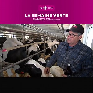 132K views · 1.3K reactions | Dans les années 1990, le défi était vertigineux pour les petits producteurs qui ont misé gros afin de devenir des producteurs laitiers biologiques. 拏 Aujourd'hui, le Québec compte au-delà de 130 éleveurs détenant la certification bio. | ICI TÉLÉ | Facebook
