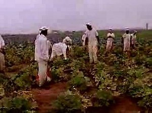 Racial Tension in Prison