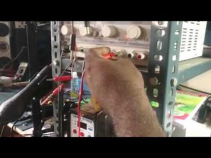 Allen Bradley Micrologix 1500, 1769 series PLC Repair service