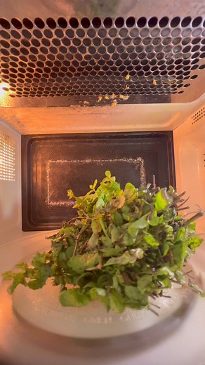 5.4K views · 21 reactions | Microwave vs mint #science #microwave #satisfying | Mrwaves | Facebook