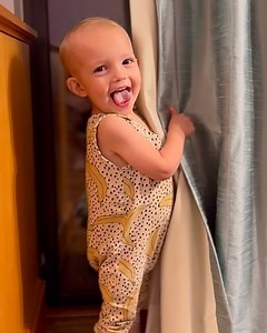 141K views · 10K reactions | Where did Breck go? | Plant Based Gabriel | Facebook