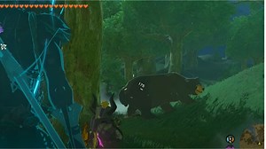 Where to find bears in The Legend of Zelda Tears of the Kingdom