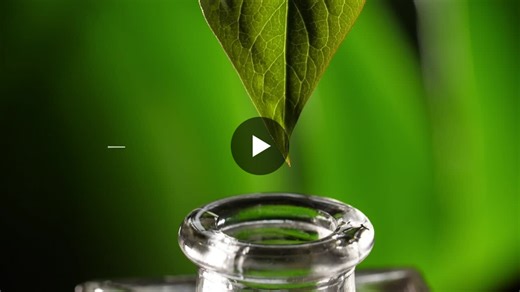 #soybeanoil #qualitycontrol #laboratorytesting #gmotesting #fosfa #cissgroup #globalinspection #foodsafety #tradecompliance #agricommodities #supplychainsecurity #inspectionservices #trustedpartner | CISS GROUP