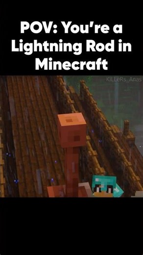 You're a Lightning Rod in Minecraft ⚡
