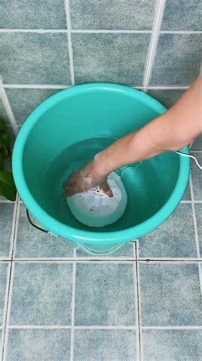 899K views · 4.4K reactions | Bucket Mini Washing Machine #washingmachine #reelsvideo #gadgets #reels #viral | Gadget Sine | Facebook