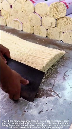 Hand-Pulled Noodles from Scratch! 🍜✨