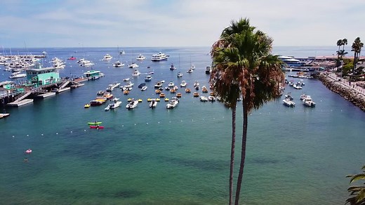 Escape To Catalina Island. Only 75 minutes from Newport Beach. Daily ferry service. | Catalina Flyer from Newport Beach