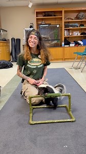 73K views · 897 reactions | Say hello to Lilac! She joined the...