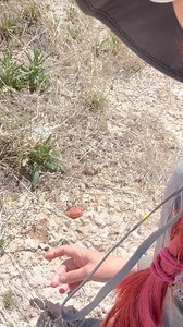 4.7K views · 209 reactions | Pecos diamonds in the desert of Roswell, New Mexico----- #Geology #pecos #pecosdiamonds #Geologist #geode #geo #FunFacts #GeologyFacts #GeologyHacks #ROCKS #Minerals #Geography #Crystals #FindSomething #CoolRocks #Rocktumbling #AllAboutGeology #Geosciences #EarthSciences #GeologyCommunicator #ShortSeries #MythOrFact | Elley Knows Rocks | Facebook