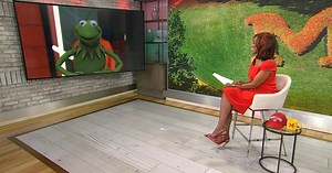 Kermit the Frog to deliver commencement speech at University of Maryland