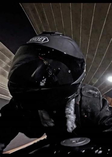 Throttle Therapy 👾そう、これは一種の治療法です笑#biker #fyp #バイク #おすすめ