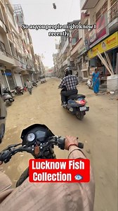 Fish Collection From Lucknow🐟😮 #shorts#fish#tips#tank #bettafish#aquarium#betta#guppy#mollyfish