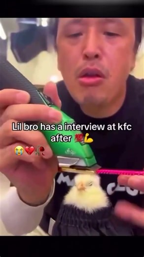Chicken shows up for kfc Job Interview Like This #discordmemes #kfc #interview #viral #shorts