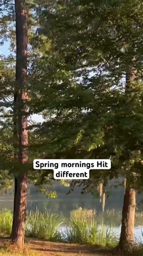This is why we wake up early. Who’s ready? #SpringFishing #EarlyMorning #FishingLife #BassFishing