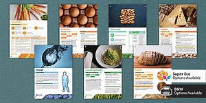 Food Groups Information Posters