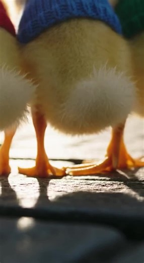 DuckTales intro #ducktales #funny #song | ducktales theme song