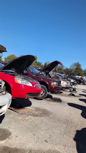 Forgotten Mustangs of Huntsville