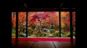 JR東海「そうだ 京都、行こう。」　CMソング　My favorite things