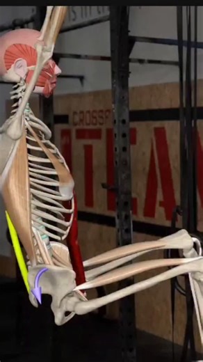 Get Ripped Lower Abs! Hanging Reverse Curl Proper Form & Muscles Worked #fblifestyle | Azra Fitness