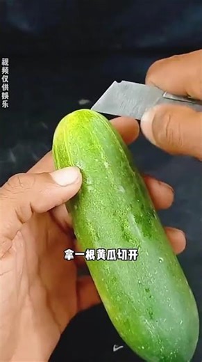 Cultivating Green Grape Seedlings from Cucumbers: A Plastic Bottle Hack