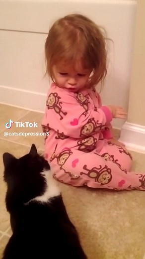 Cat attacks baby -must see- | cat attack