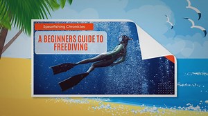 A Beginners Guide To Freediving
