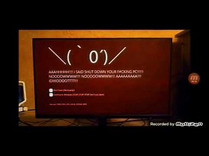 Windows 11 kill screen