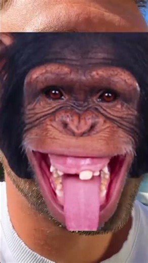 Tary čistí vířivku 🧼🛁