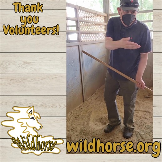 Mario is part of our Equine Feed Team at WHQ - Wildhorse Headquarters in Gilbert, AZ. | Wildhorse