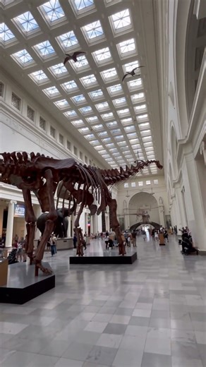 Field Museum - Chicago, IL