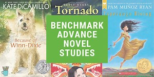Benchmark Advance Novel Studies - Markers & Minions