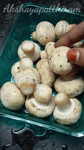 Mushroom Cleaning method | How to clean mushroom in tamil | kalaan cleaning | mushroom washing #food