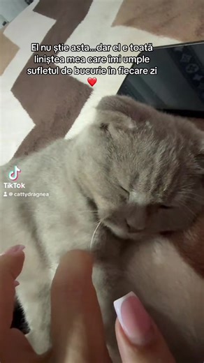 Gucci❤️cel mai iubit dintre toți!#fypyoupage #reposting #fyyyyyyyyyyyyyyyy #viral_video #500k