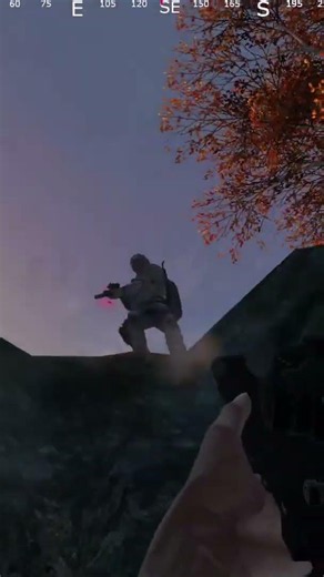 Wald Fight #gaming #dayzmod #dayzgamers #gameplay #deutsch