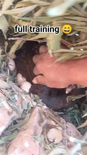 ya kya dhakna par raha hey😁🤣 #plzviralvideo ‪@tseries‬ ‪@YouTube‬