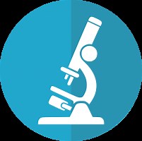 Partes del microscopio (2)